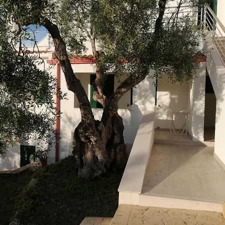 Villa Elisa ヴィエステ エクステリア 写真