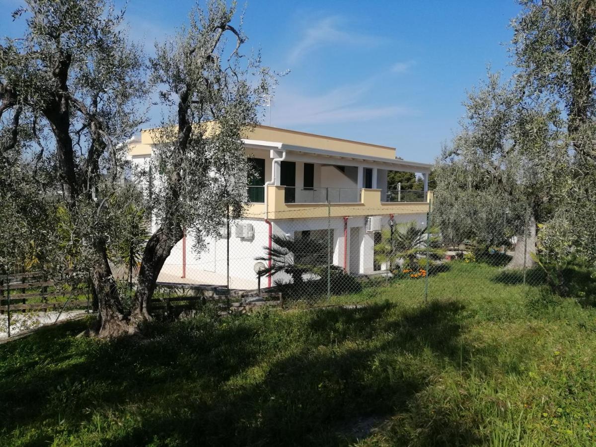 Villa Elisa ヴィエステ エクステリア 写真