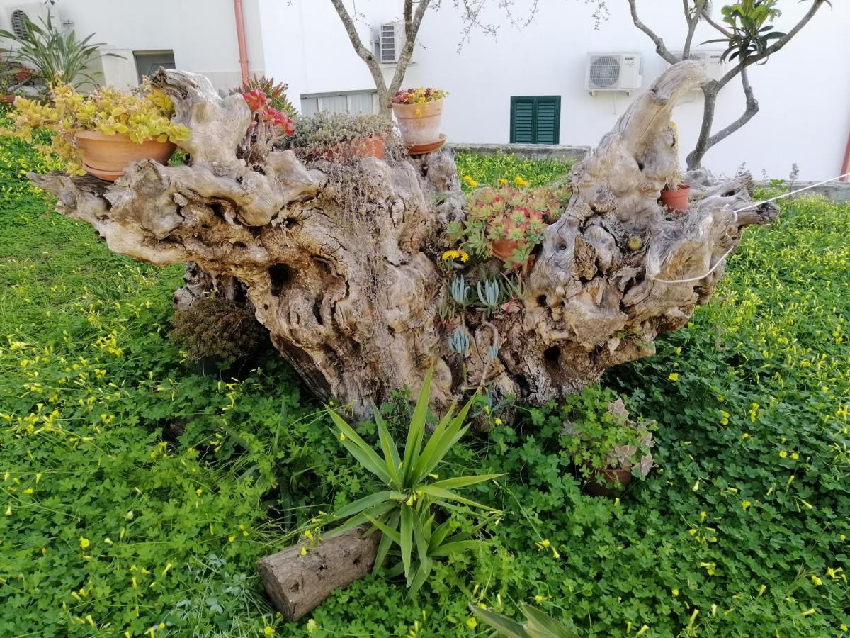 Villa Elisa ヴィエステ エクステリア 写真