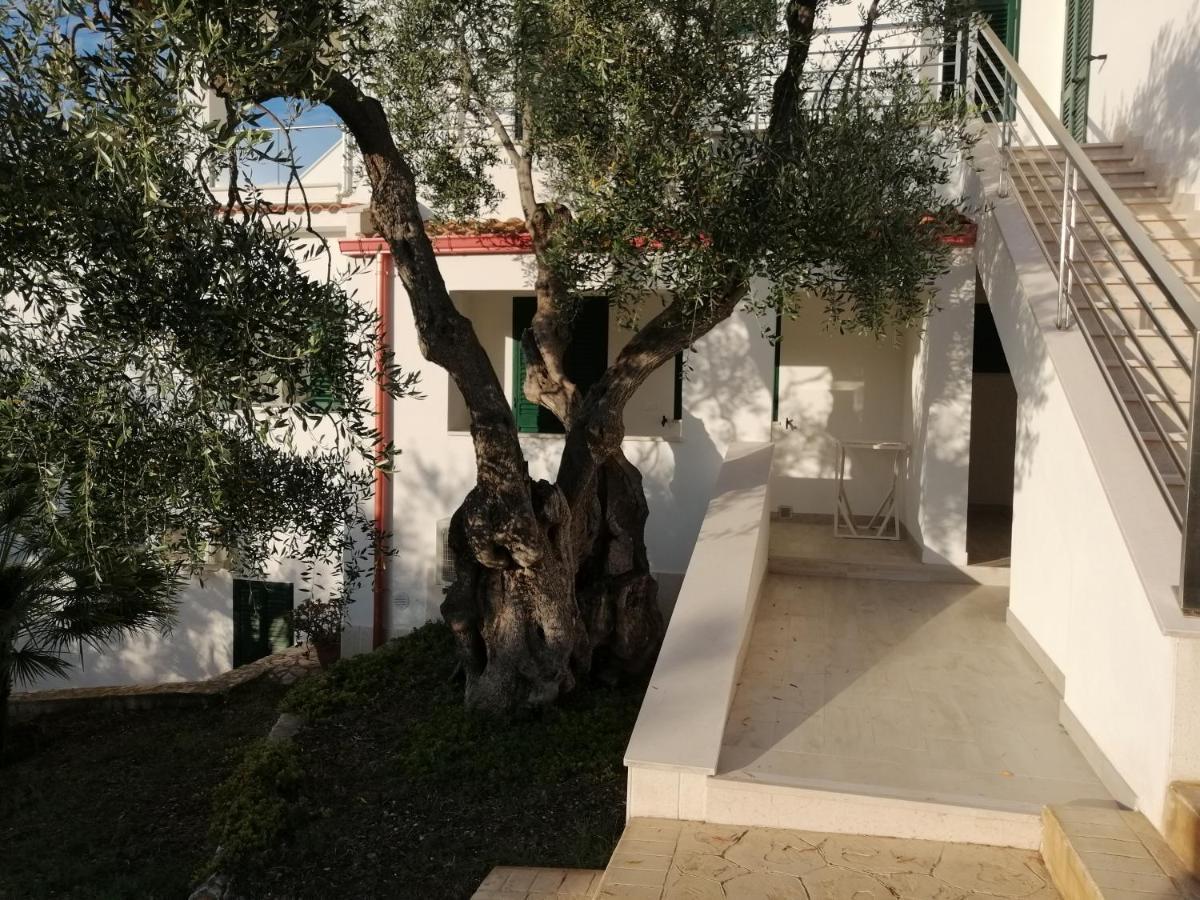 Villa Elisa ヴィエステ エクステリア 写真